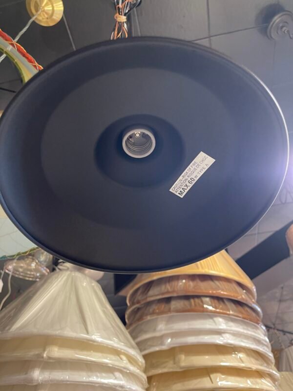 Modern dome shade pendant light