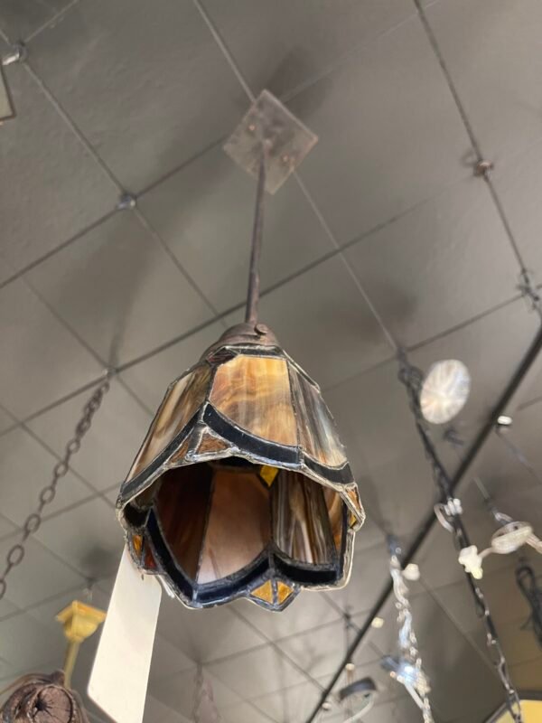 Antique floral glass shade light fixture